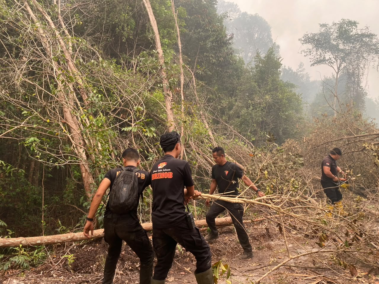 Satbrimob Polda Kalteng Padamkan Api Sekaligus Buka Akses Jalan di Km 36 Tjilik Riwut