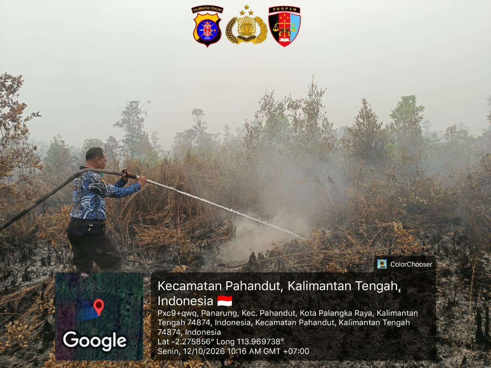 Tanggap Cepat, Satgas Karhutla Bidpropam Polda Kalteng Berhasil Padamkan Kebakaran Lahan di Kawasan Panarung
